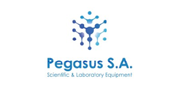 pegasus